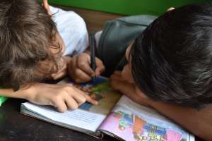 Two brothers home schooling
